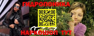 шишки Конаково