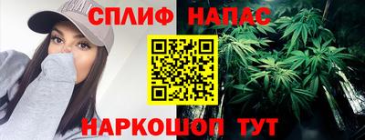 шишки Конаково