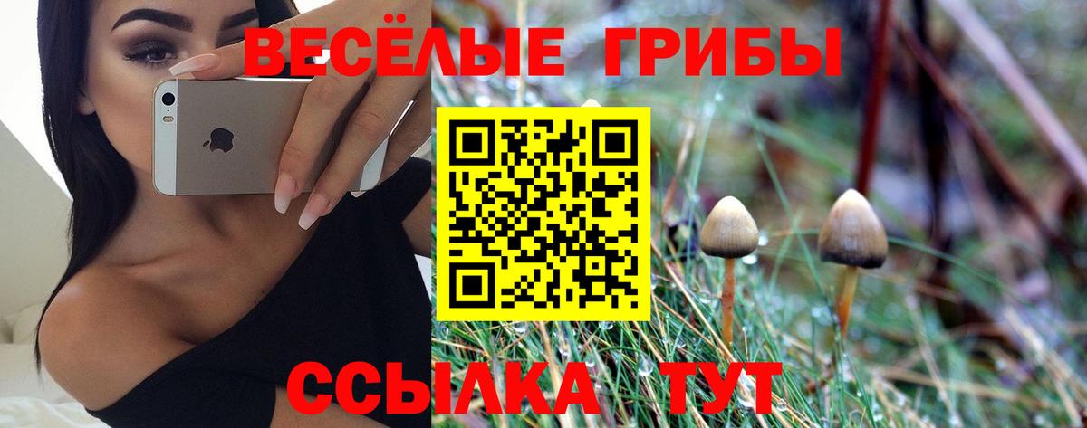 Галлюциногенные грибы Cubensis  Галлюциногенные грибы MAGIC MUSHROOMS  Вход с VPN  Корсаков 